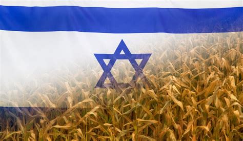 The Incredible Story of Israeli Agriculture & Zionism | Judaica ...