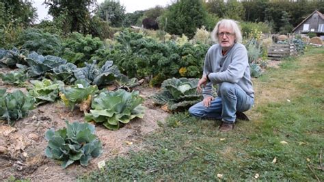 Du potager du paresseux à lÉconologie vive le foin DEFI