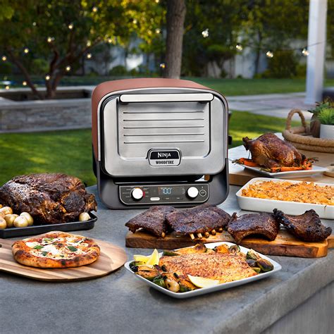 Ninja Woodfire Pizza Oven In Outdoor Oven Oo Reviews Wayfair