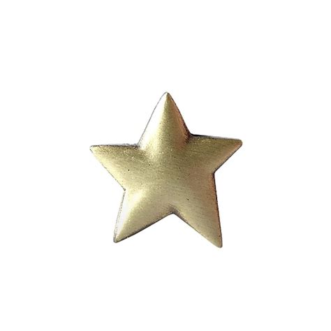 15l X 05h Lapel Pin Gold Star At Staples