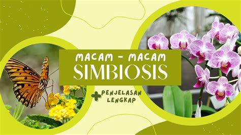 Macam Macam Simbiosis Mutualisme Komensalisme Parasitisme Pengertian