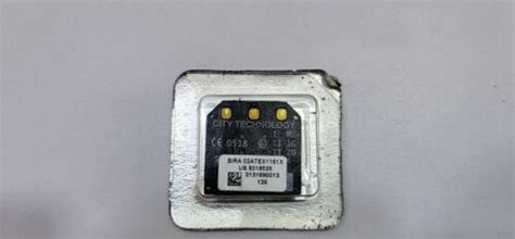 BW TECHNOLOGIES SR-W-MP75C MICROPEL 75C COMBUSTIBLE SENSOR | eBay