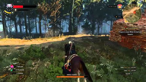 The Witcher 3 Wild Hunt LOW SETTINGS GTX 770 YouTube