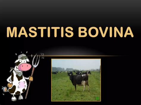 Mastitis Bovina Ppt