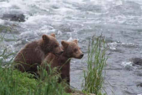 Kenai Fjords National Park - Top Photography Locations