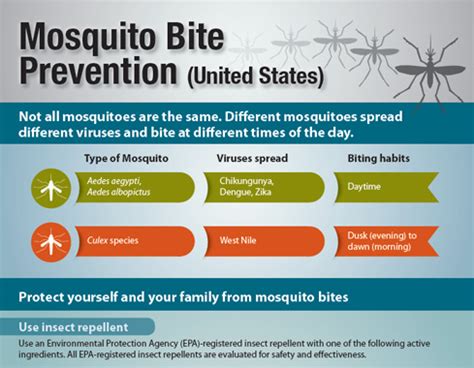 Preventing Mosquito Bites | Pediatric Clinic | Vaccinations for ...