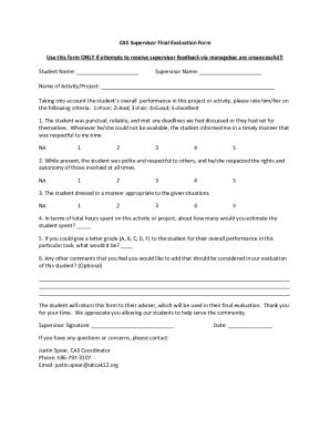 Fillable Online Cas Supervisor Final Evaluation Form Use This Form Only