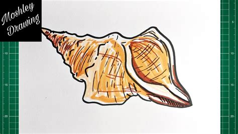 How To Draw A Conch Shell Step By Step Youtube