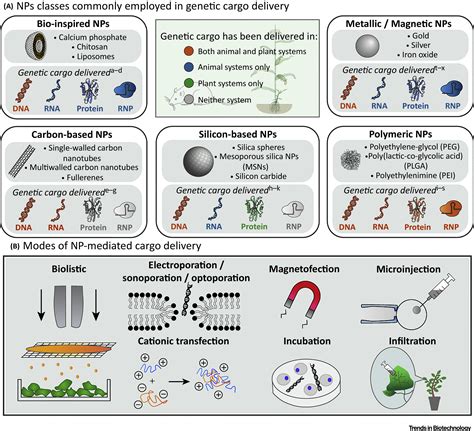 Nanoparticle Mediated Delivery Towards Advancing Plant Genetic