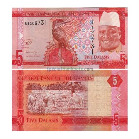 Gambia 5 Dalasis Banknote 2015 UNC Special Minds Store