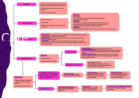 Mapa Conceptual Cerebelo Estructura Nerviosa Encargada De Coordinar El Tono La Amplitud Y