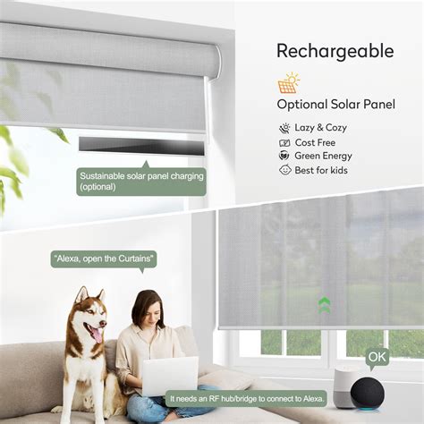 Smart Motorized Roller Blinds - Light Filtering Fabrics - ZSHINE