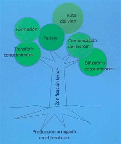 Tesis Doctoral Revela Los Terroir De La Garnacha De La Do Campo De