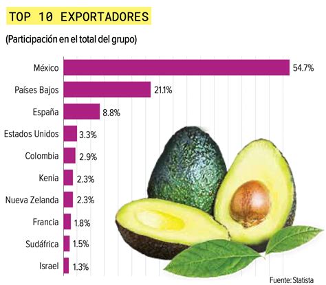 México Es El Principal Exportador De Aguacate En El Mundo