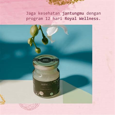 Jual MINUMAN SARANG BURUNG WALET TRIAL PROGRAM REALFOOD ROYAL