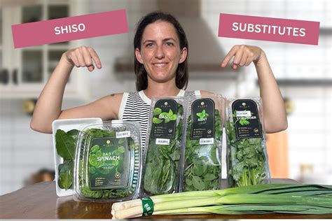 BEST Shiso Substitutes 2 To Avoid Pantry Larder