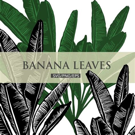 Banana Leaf Svg - Etsy