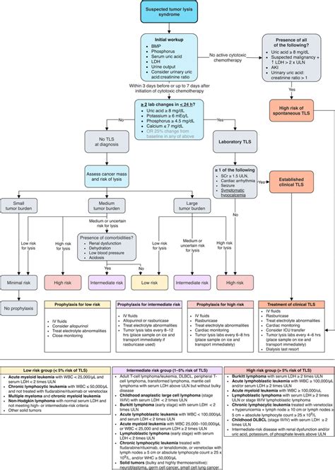 Algorithm Summarizing The Workup And Management Of Tumor Lysis Syndrome