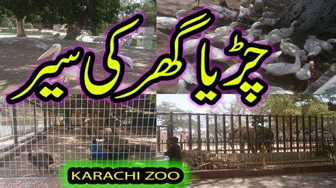 Karachi Zoo Garden Vlog Karachi Zoo Churya Ghar Ki Sair Youtube