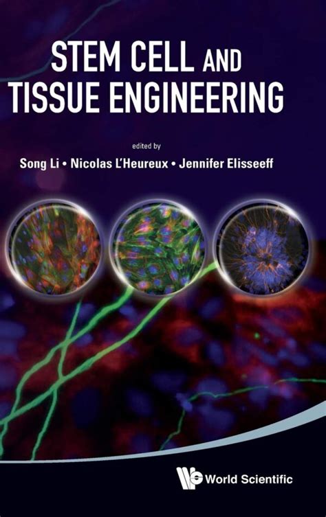 Stem Cell And Tissue Engineering