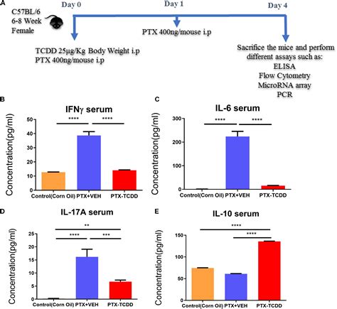 Frontiers Ahr Activation By Tcdd Tetrachlorodibenzo P Dioxin