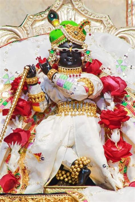 147 Sri Vrindavan Banke Bihari Images Photos Pics Hd Download