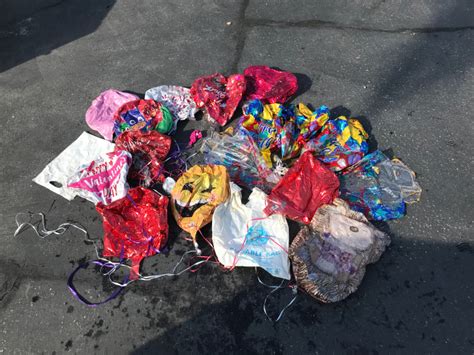 Trashed Valentines Day Balloons Show No Love For The Ocean Or Its