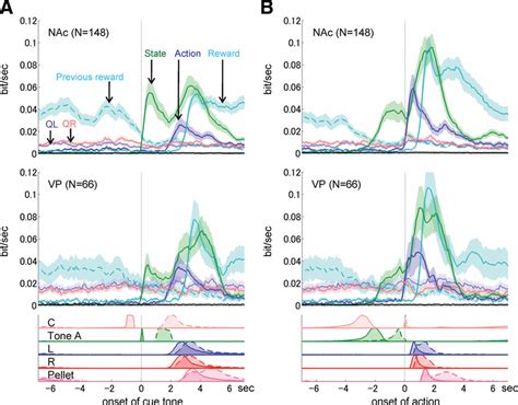 Information Coded In The NAc And VP The Mutual Information Per 1 S