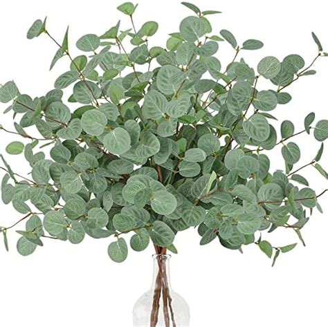 Amazon Supla 3 Pcs 35 Tall Eucalyputs Stems Eucalyputs Leaves