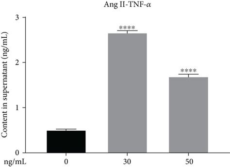 Inflammatory Cytokines Promoted The Activation Of Tras In Human Nucleus