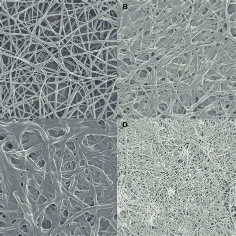 A Series Of Scanning Electron Microscopy Images Illustrating The Download Scientific Diagram