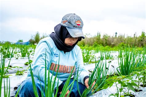 Microfinancing Loans For Women In Business Female Entrepreneurs