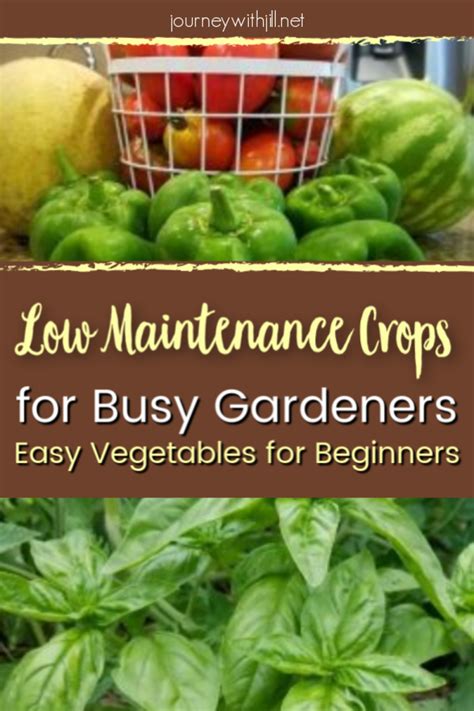 Low Maintenance Crops For Busy Gardeners The Beginner S Garden