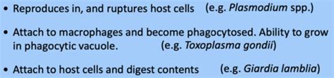 V Bacteria And Archaea Taxonomy And Phylogeny V