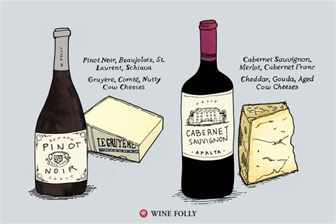 6 Tips on Pairing Wine and Cheese | Wine Folly