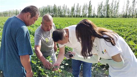 青春聚力，科技赋能，激活乡村振兴新引擎 实践风采 中国大学生在线