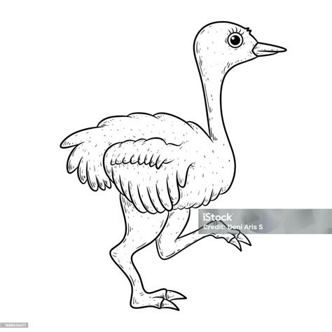 Sketsa Kartun Burung Unta Terisolasi Ilustrasi Stok Unduh Gambar