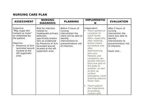 Components Of A Nursing Care Plan Printable Templates Free