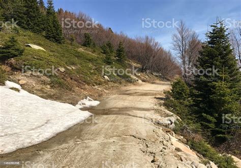 Pathway At Mount Uludag Stock Photo Download Image Now Anatolia