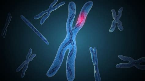 Fmr1 Renamed To Fragile X Messenger Ribonucleoprotein 1 • Fraxa