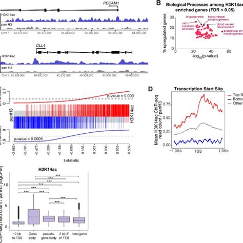 Single Cell Rna Sequencing Of Retinal Ecs A Umap Plot Generated From Download Scientific