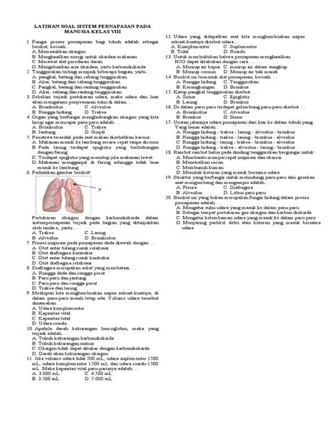 Latihan Soal Sistem Pernapasan Pada Manusia Pdf