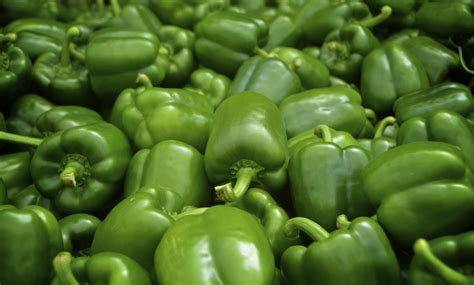 Como Plantar Pimentos - Semear & Plantar