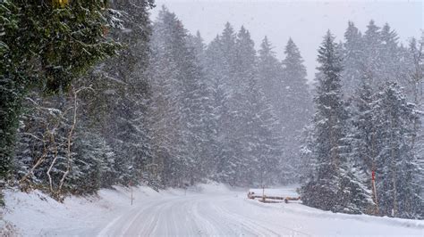 Schnee Und Gl Tte Sorgen F R Viele Blechsch Den Regensburger