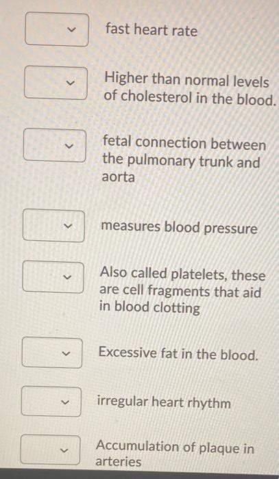 Solved Match The Terms With Their Definitions V Ability Of Chegg