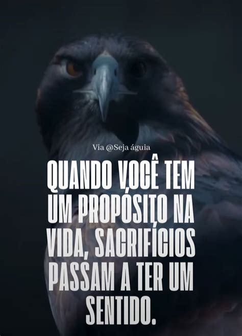 Pin De Klayton Em Eagle Frases De Palavra Frases De Prioridade