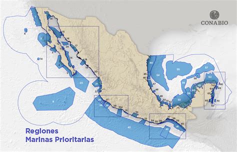 Densidad De Equinodermos Marinos En Distintas Regiones