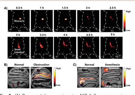 Figure From Novel Near Infrared Ii Aggregation Induced Emission Dots