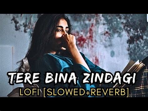 Tere Bina Zindagi New Hindi Lo Fi Song Official Video Lofi Zone