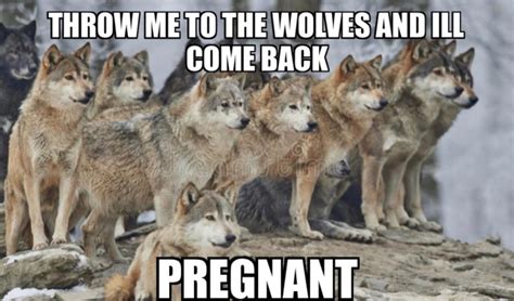 Throw Me To The Wolves And I Ll Come Back Pregnant Me Jogue Aos Lobos